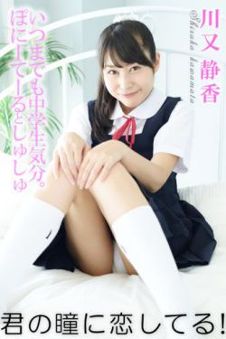 杨思敏版金瓶梅