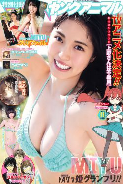 安岳中学